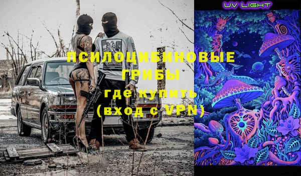 apvp Магадан