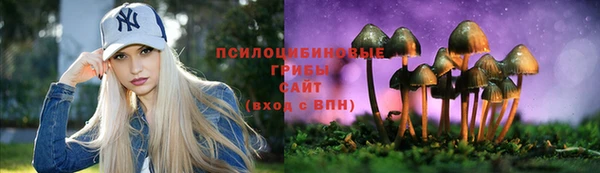 прущие грибы Майский