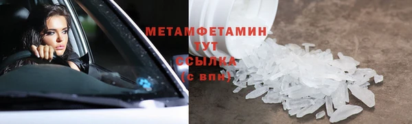 прущие грибы Майский