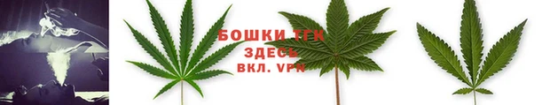 прущие грибы Майский
