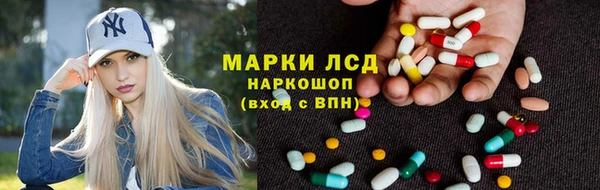 mdpv Магас