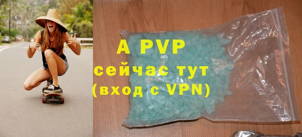 apvp Магадан