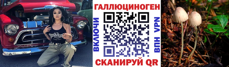 Галлюциногенные грибы Psilocybe  Усть-Джегута 