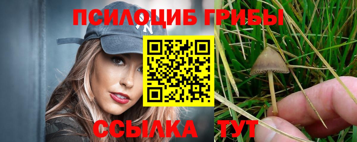 Галлюциногенные грибы Magic Shrooms  Вход с VPN  Усть-Джегута 