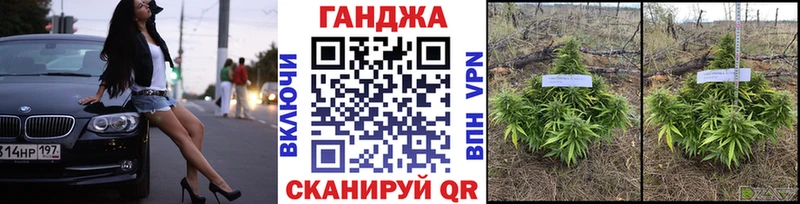 магазин продажи наркотиков  Усть-Джегута  Конопля Ganja 